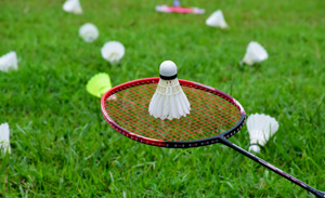 Badminton Skill Development